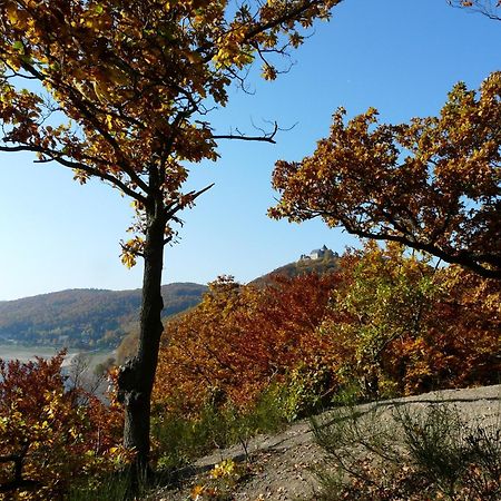 Belvedere - Das Bio Hotel Garni & Suitehotel Am Edersee ! Unser Geschenk Fuer Sie, Auch Die Gaestecard Grimmheimat! Waldeck  Esterno foto
