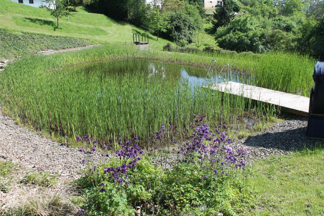 Belvedere - Das Bio Hotel Garni & Suitehotel Am Edersee ! Unser Geschenk Fuer Sie, Auch Die Gaestecard Grimmheimat! Waldeck  Esterno foto