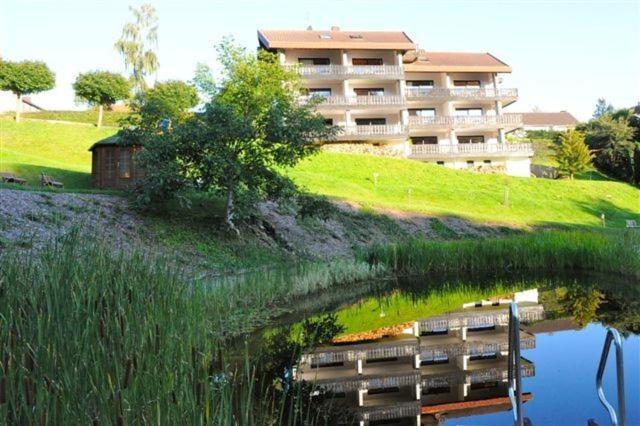 Belvedere - Das Bio Hotel Garni & Suitehotel Am Edersee ! Unser Geschenk Fuer Sie, Auch Die Gaestecard Grimmheimat! Waldeck  Esterno foto