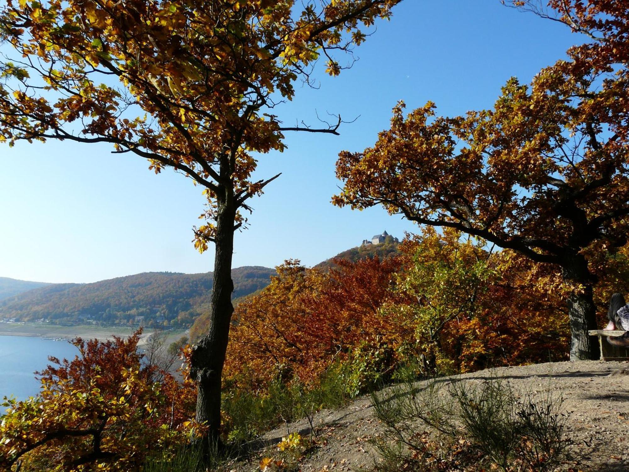 Belvedere - Das Bio Hotel Garni & Suitehotel Am Edersee ! Unser Geschenk Fuer Sie, Auch Die Gaestecard Grimmheimat! Waldeck  Esterno foto